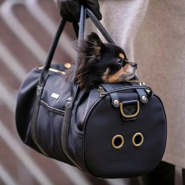 Apex - Leather Dog Carriers Manufacturer in India